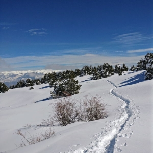 A pristine landscape | Snowshoeing holidays in the Pyrenees
