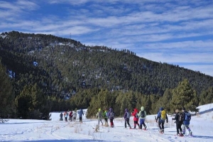 La Molina | Snowshoeing holidays