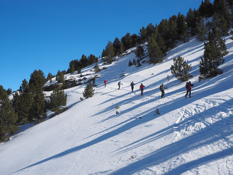 guided snowshoeing tour in Aigüestortes national park