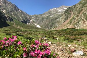 Vallée de la Pez | French Pyrenees